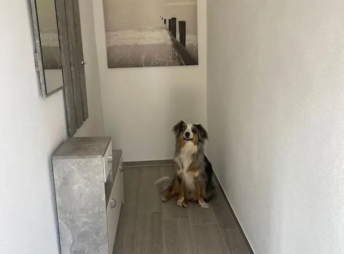 Pferdehof Simon * Binscheid